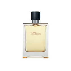 Hermes Terre D'Hermes toaletná voda pánska 100 ml