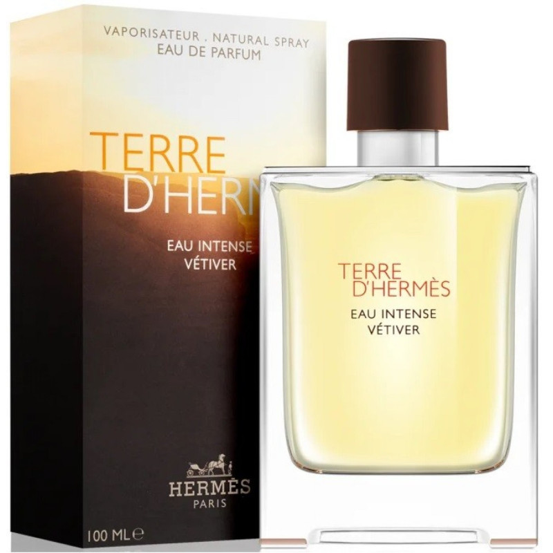 Hermès Terre D'Hermès Eau Intense Vetiver parfumovaná voda pánska 100 ml